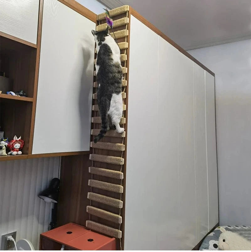 50cm Full sisal Accessoire pour chat<br>Rampe Forestire