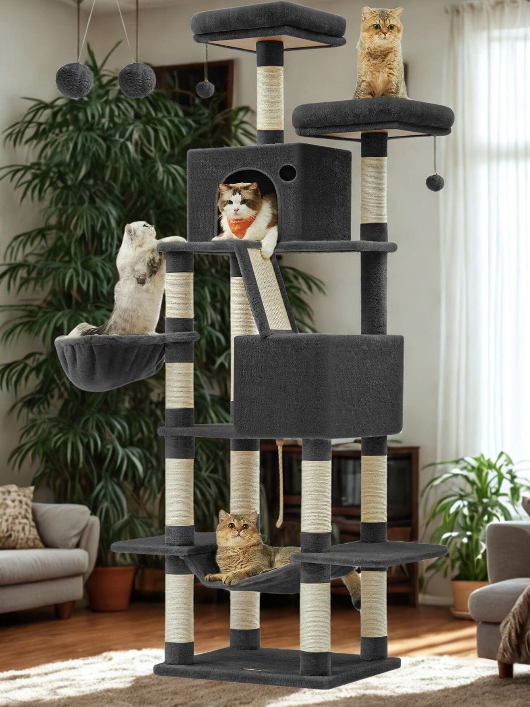 Noir Arbre a chat<br>Palais Magic