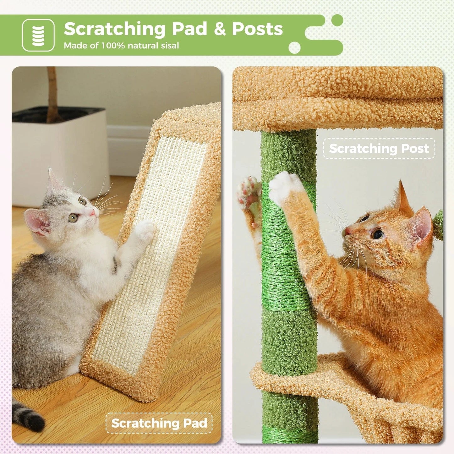 Arbre a chat moyen<br>Horizon Vert