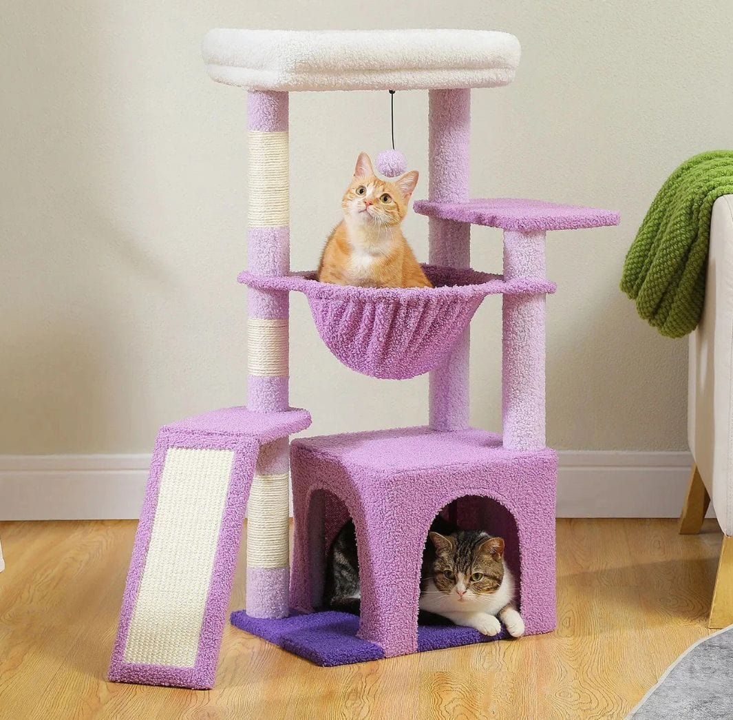 Mauve Arbre a chat moyen<br>Horizon Vert
