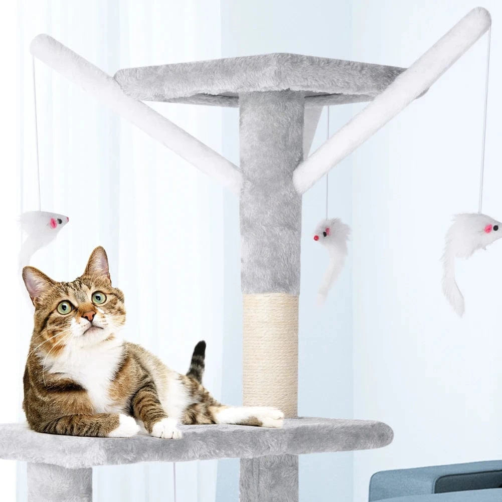 Arbre a chat moyen<br>Le trone
