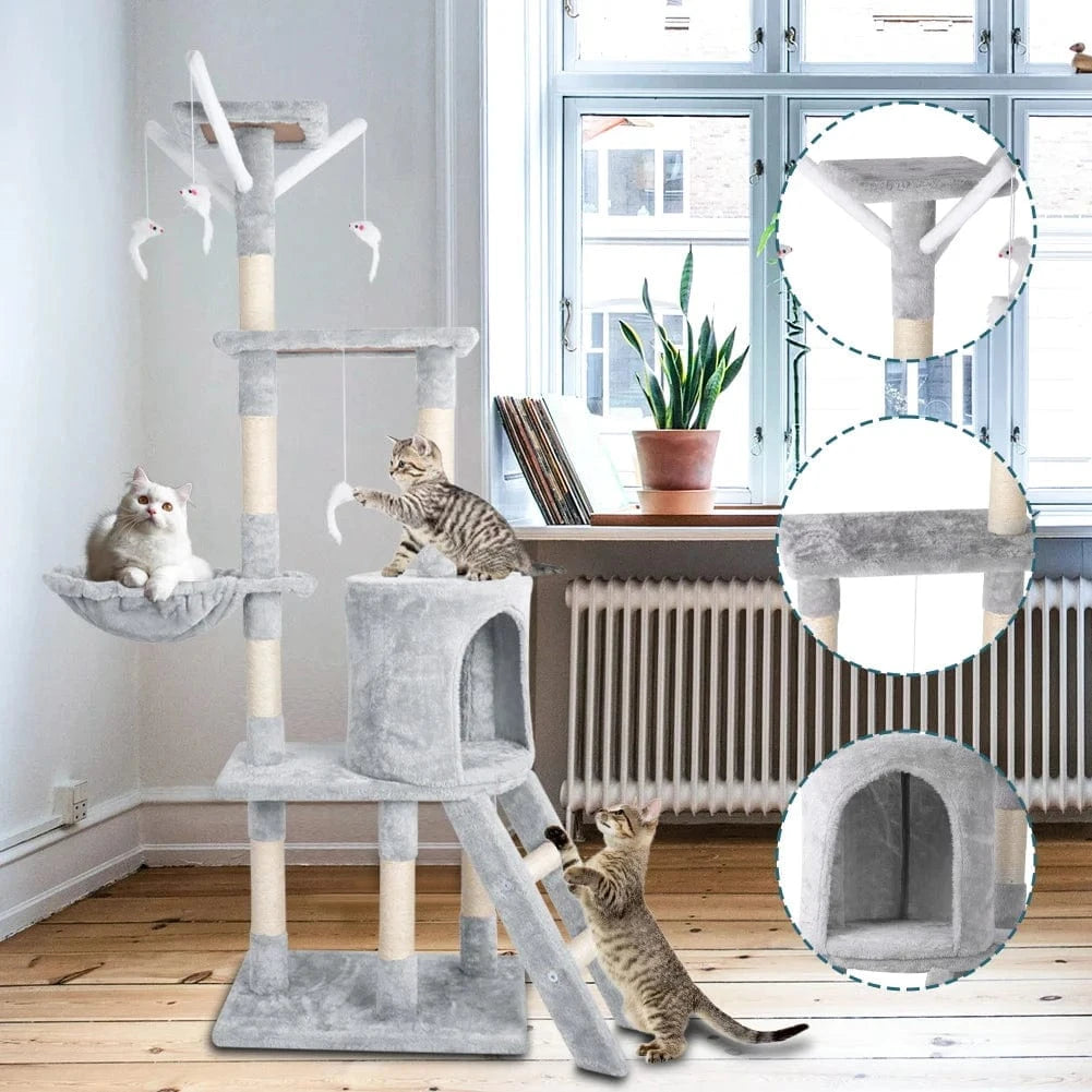 Arbre a chat moyen<br>Le trone