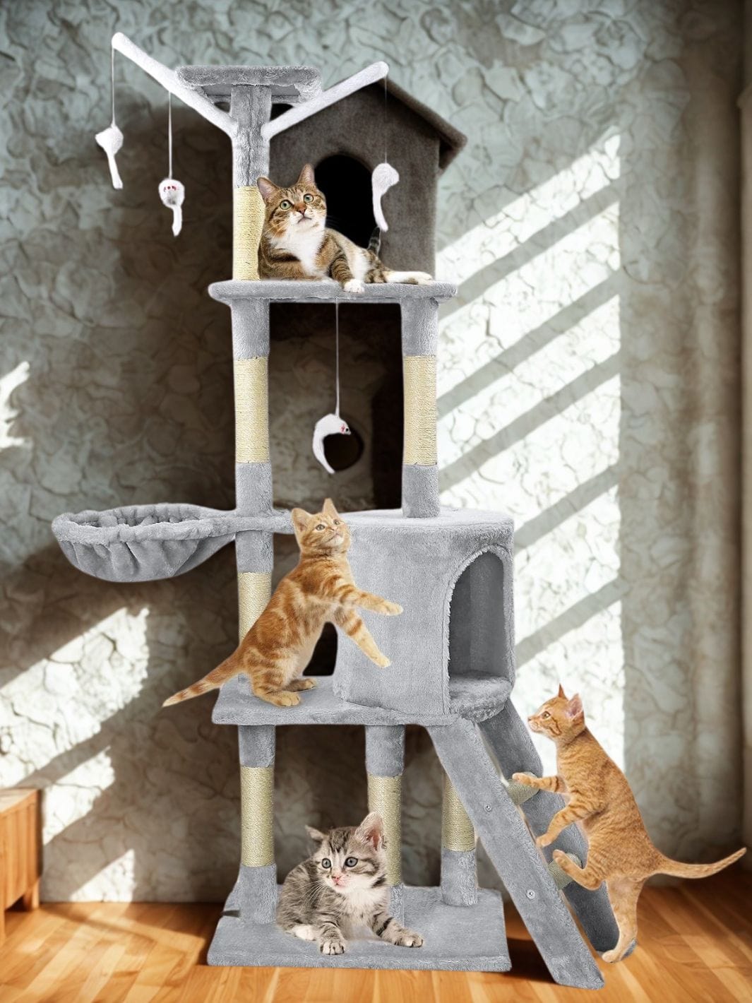 Gris Clair Arbre a chat moyen<br>Le trone