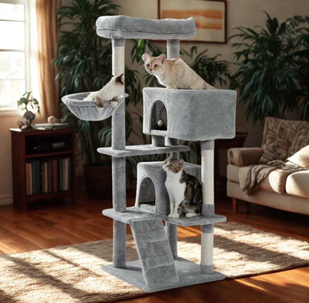 Gris Arbre a chat moyen<br>Medium & Chill