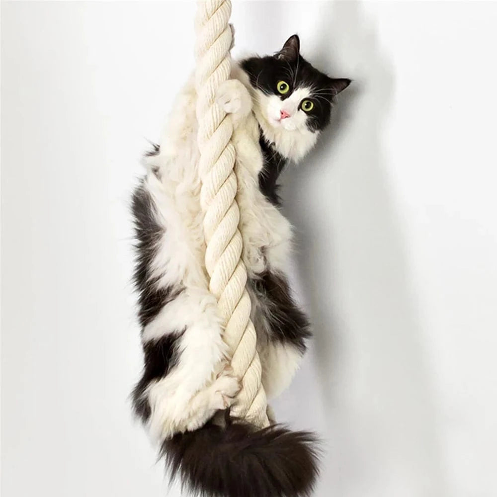 Arbre a chat mural<br>Corde a grimper