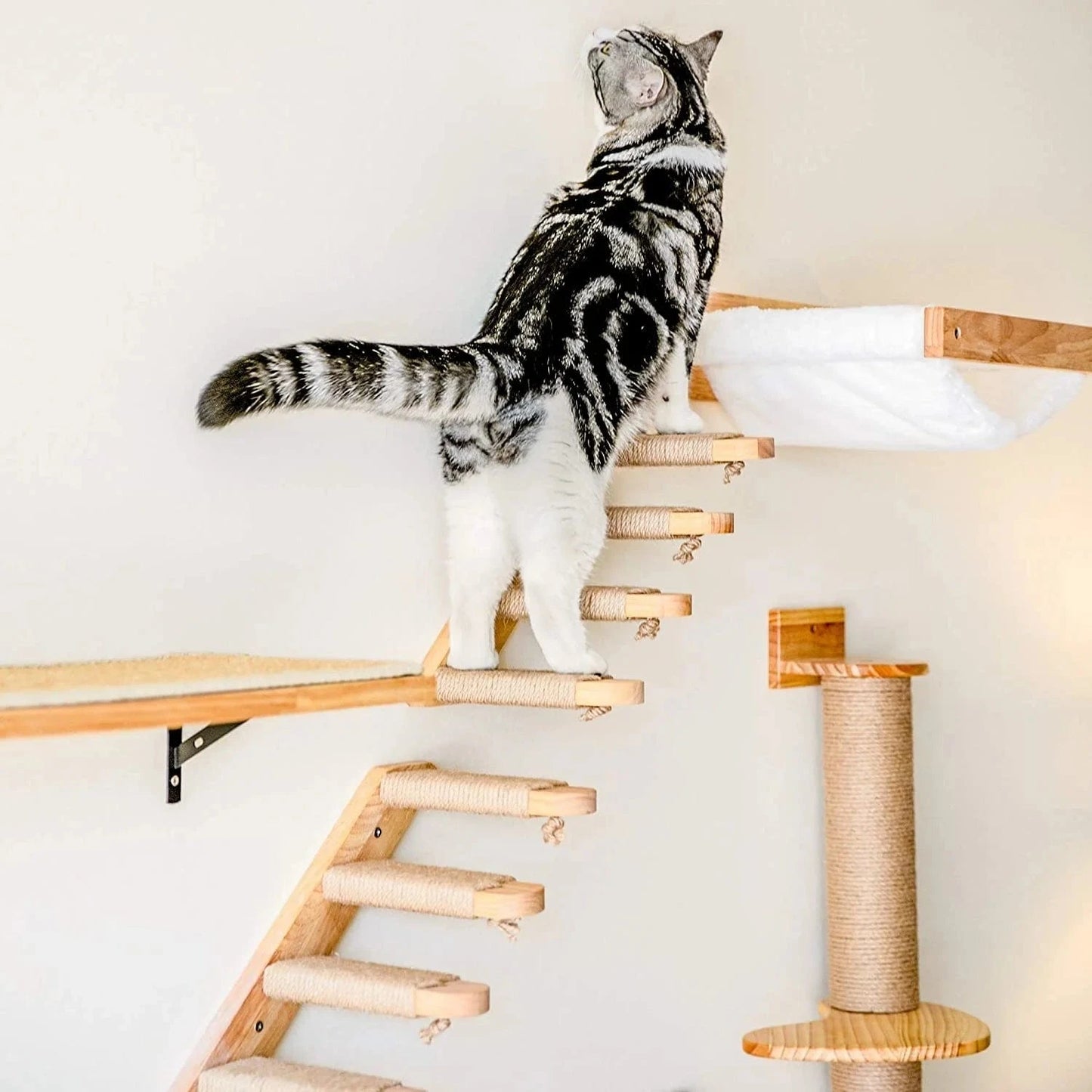 Bois Arbre a chat murale<br>Escalier