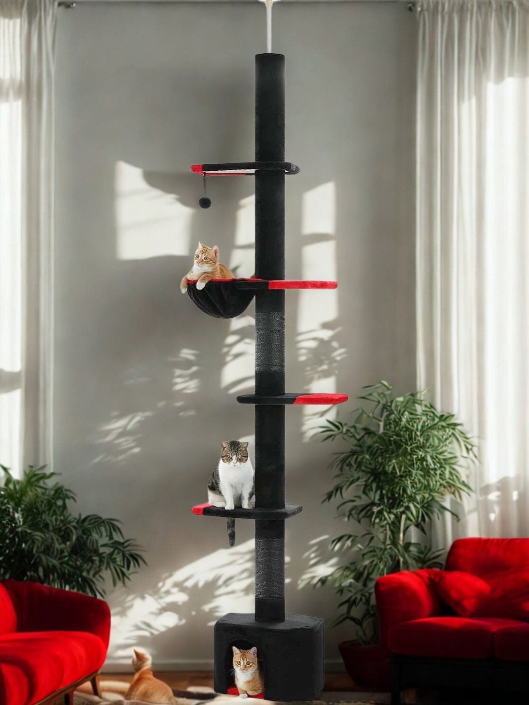 Noir Arbre a chat plafond<br>Ligne Celeste