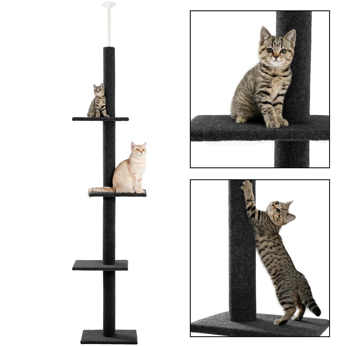 Arbre a chat plafond<br>Perchoir Supreme