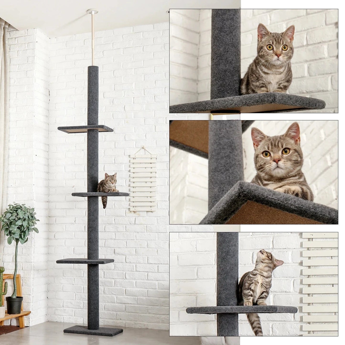 Arbre a chat plafond<br>Perchoir Supreme