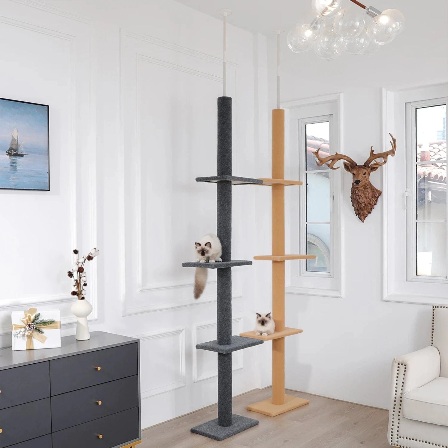 Arbre a chat plafond<br>Perchoir Supreme