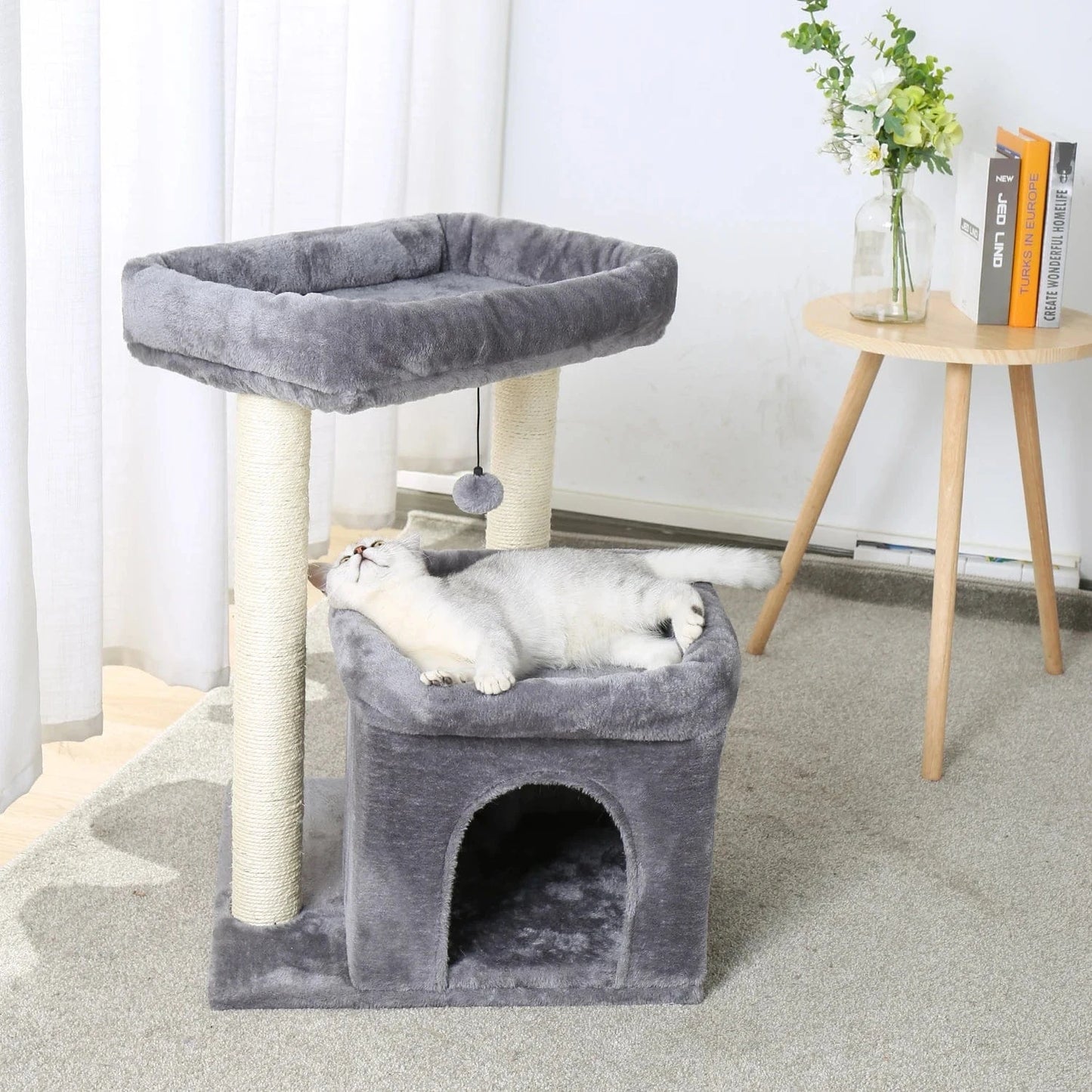 Gris Petit arbre a chat<br>Dome felin