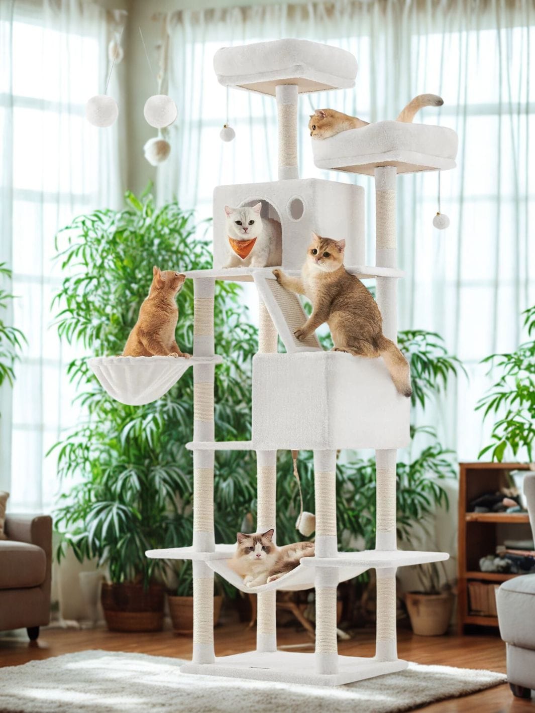 Blanc Arbre a chat<br>Palais Magic