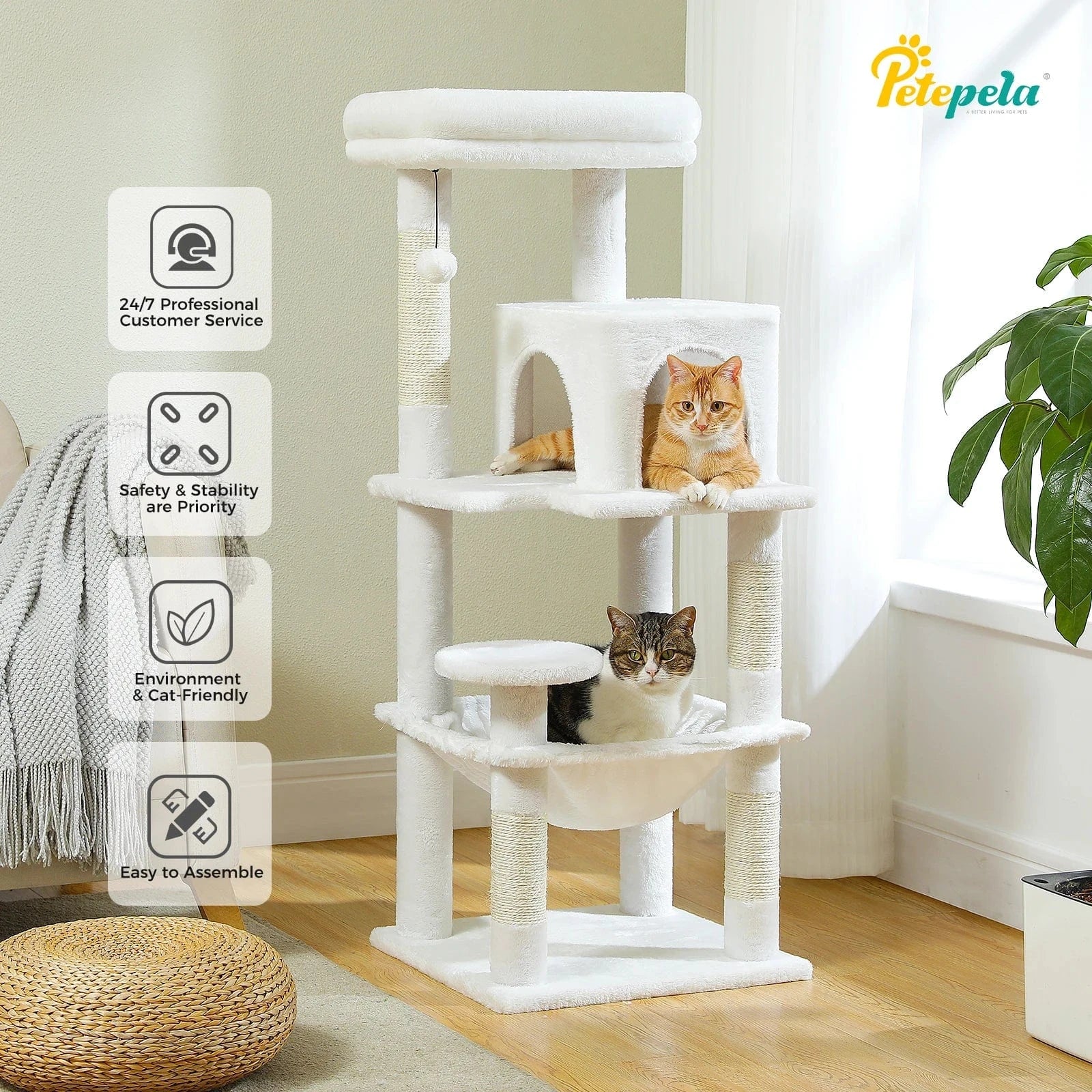 Arbre a chat moyen<br>Bois Median