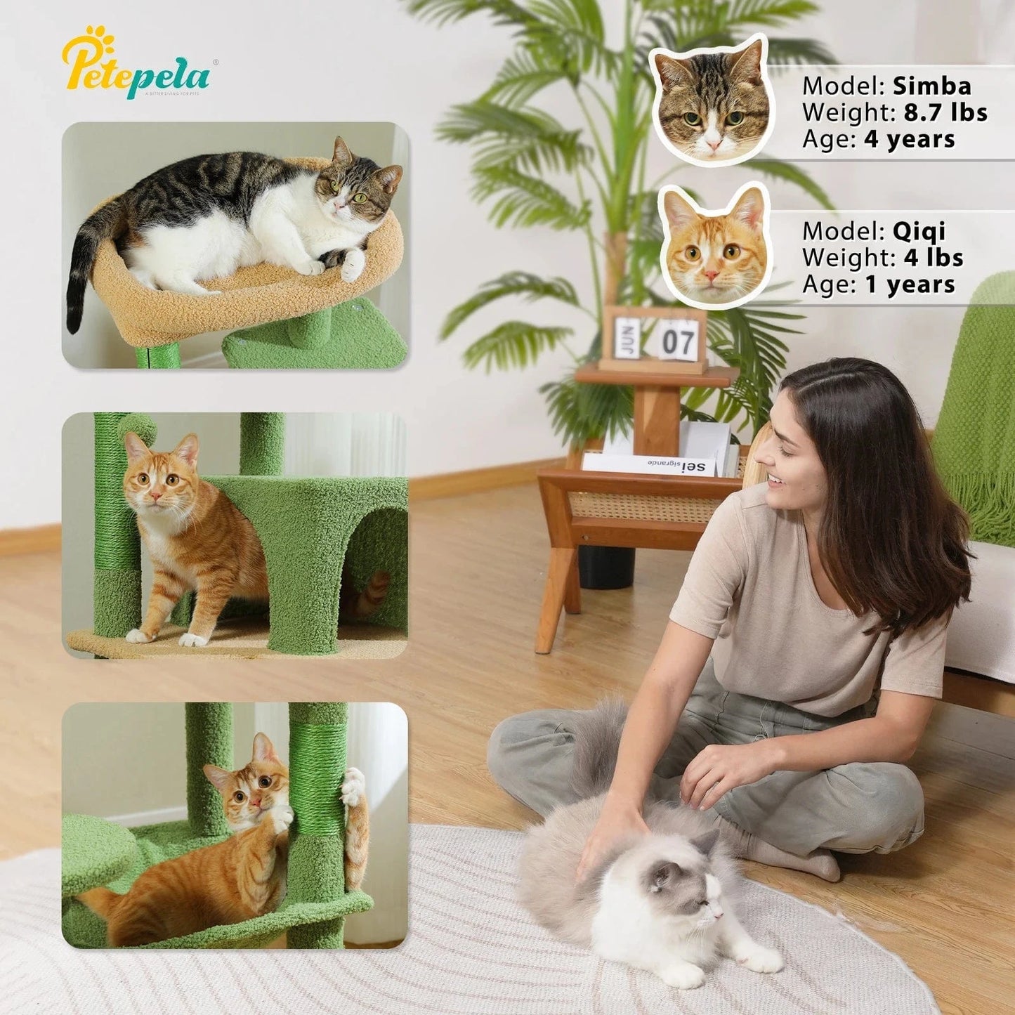 Arbre a chat moyen<br>Bois Median