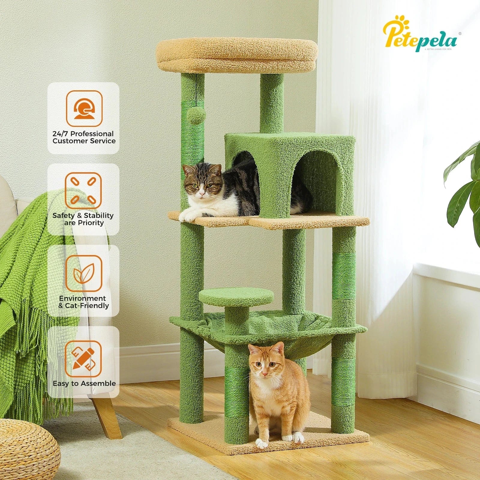 Arbre a chat moyen<br>Bois Median