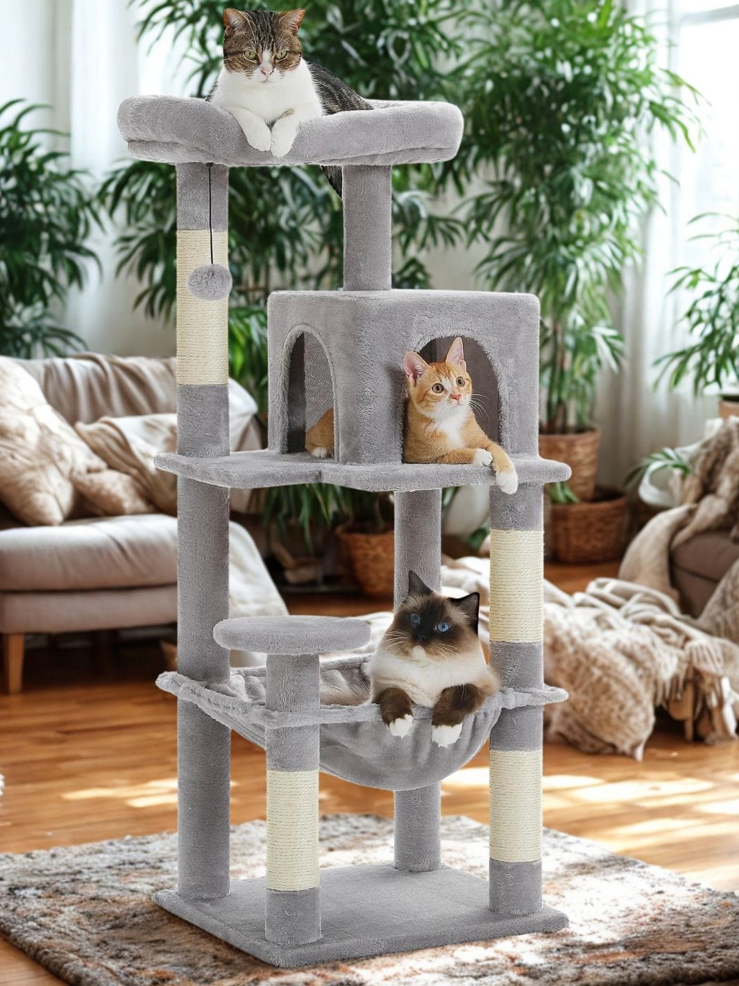 Gris Arbre a chat moyen<br>Bois Median