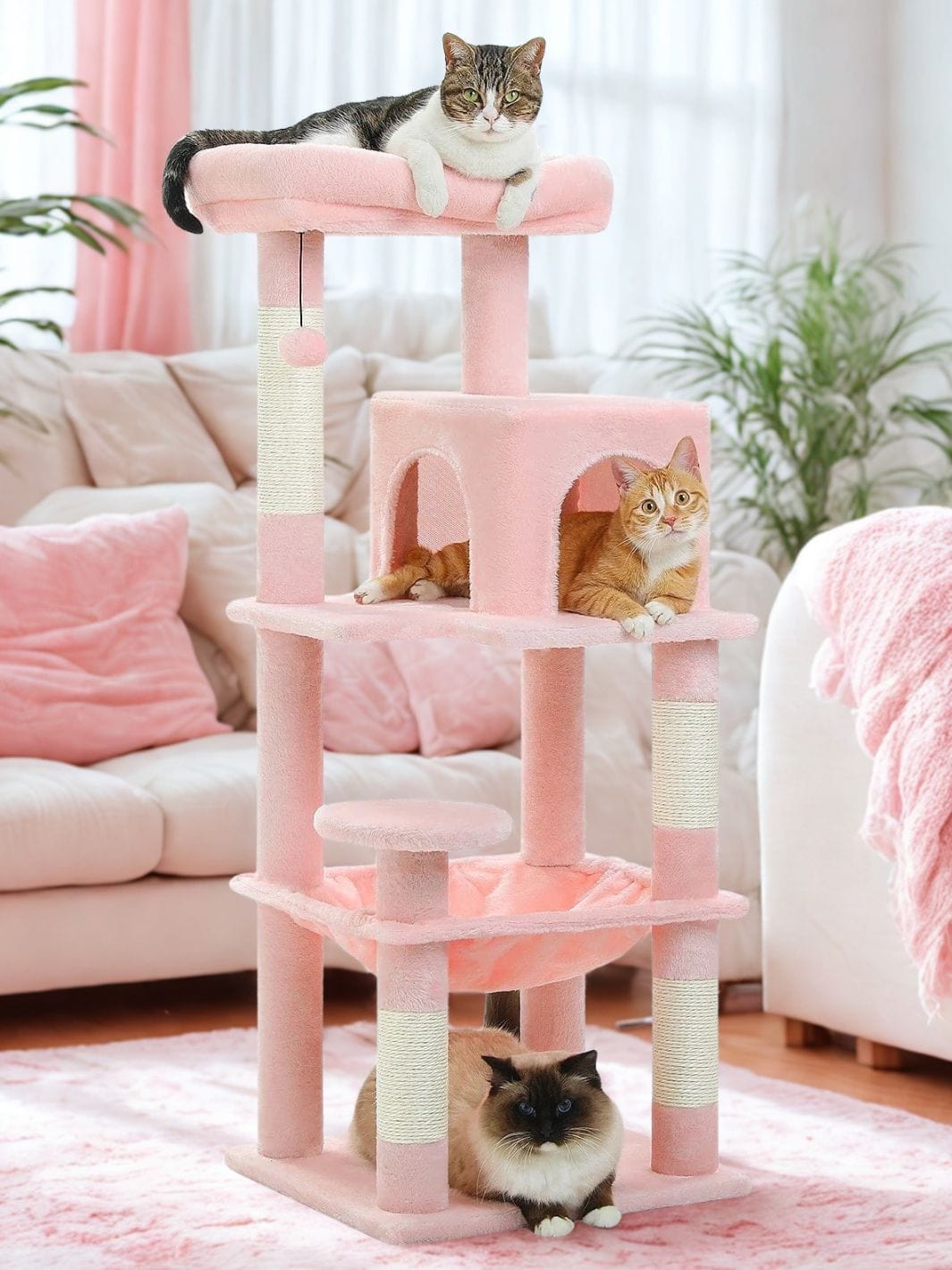Rose Arbre a chat moyen<br>Bois Median