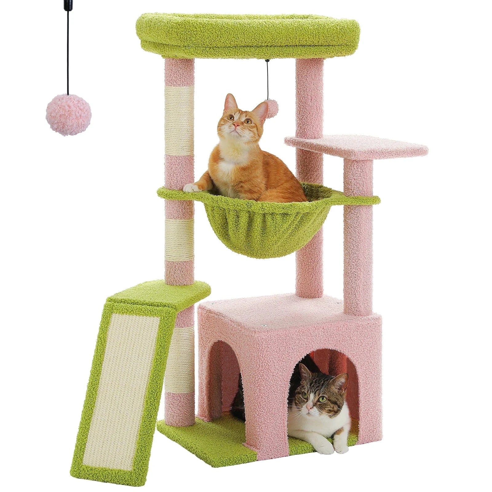 Rose Arbre a chat moyen<br>Horizon Vert