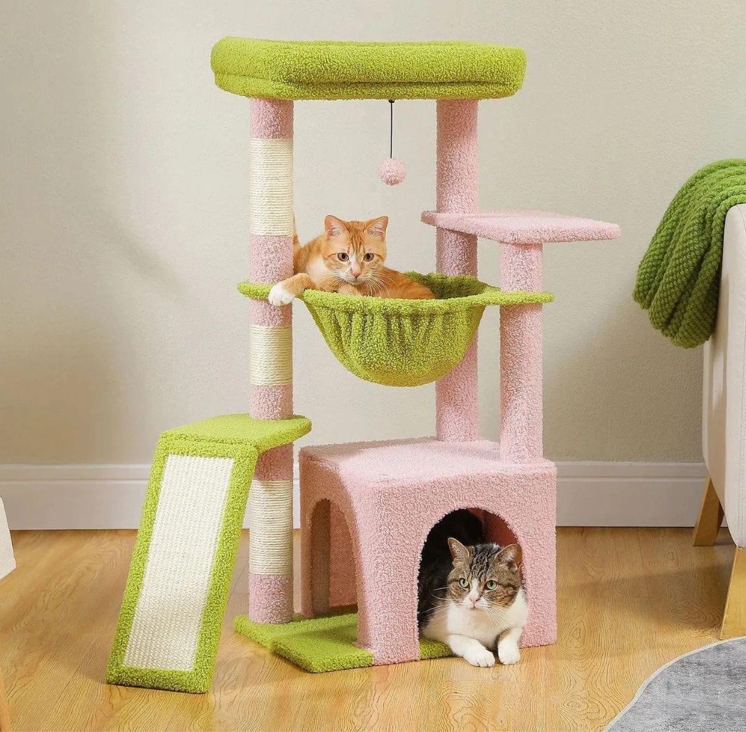 Rose Arbre a chat moyen<br>Horizon Vert