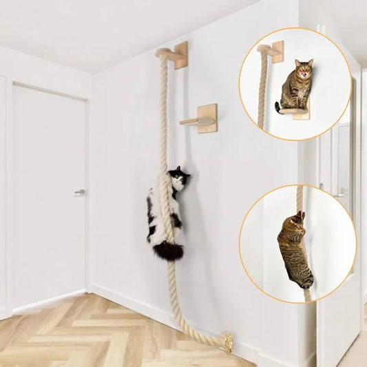 Arbre a chat mural<br>Corde a grimper