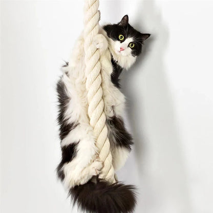 Arbre a chat mural<br>Corde a grimper
