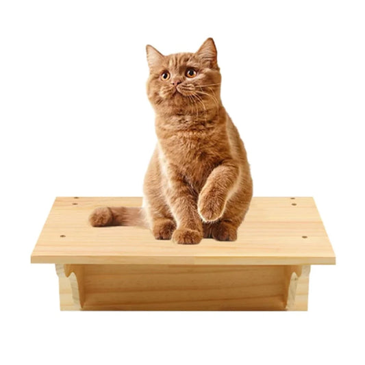 Bois Arbre a chat mural<br>plateforme