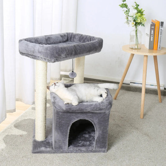 Gris Petit arbre a chat<br>Dome felin